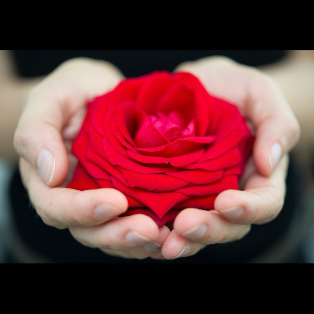Meet your Posher, Rosa